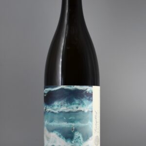2023 Trizanne Signature Wines Sondagskloof White