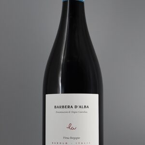 2020 Virna Borgogno Barbera d'Alba DOC