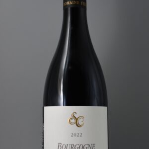 2022 Sylvain Cathiard Haut Cotes de Nuits