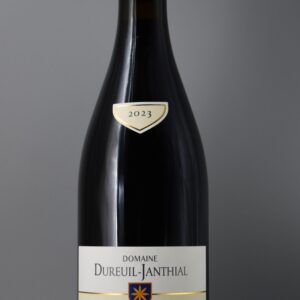 2023 Vincent Dureuil-Janthial Rully En Guesnes