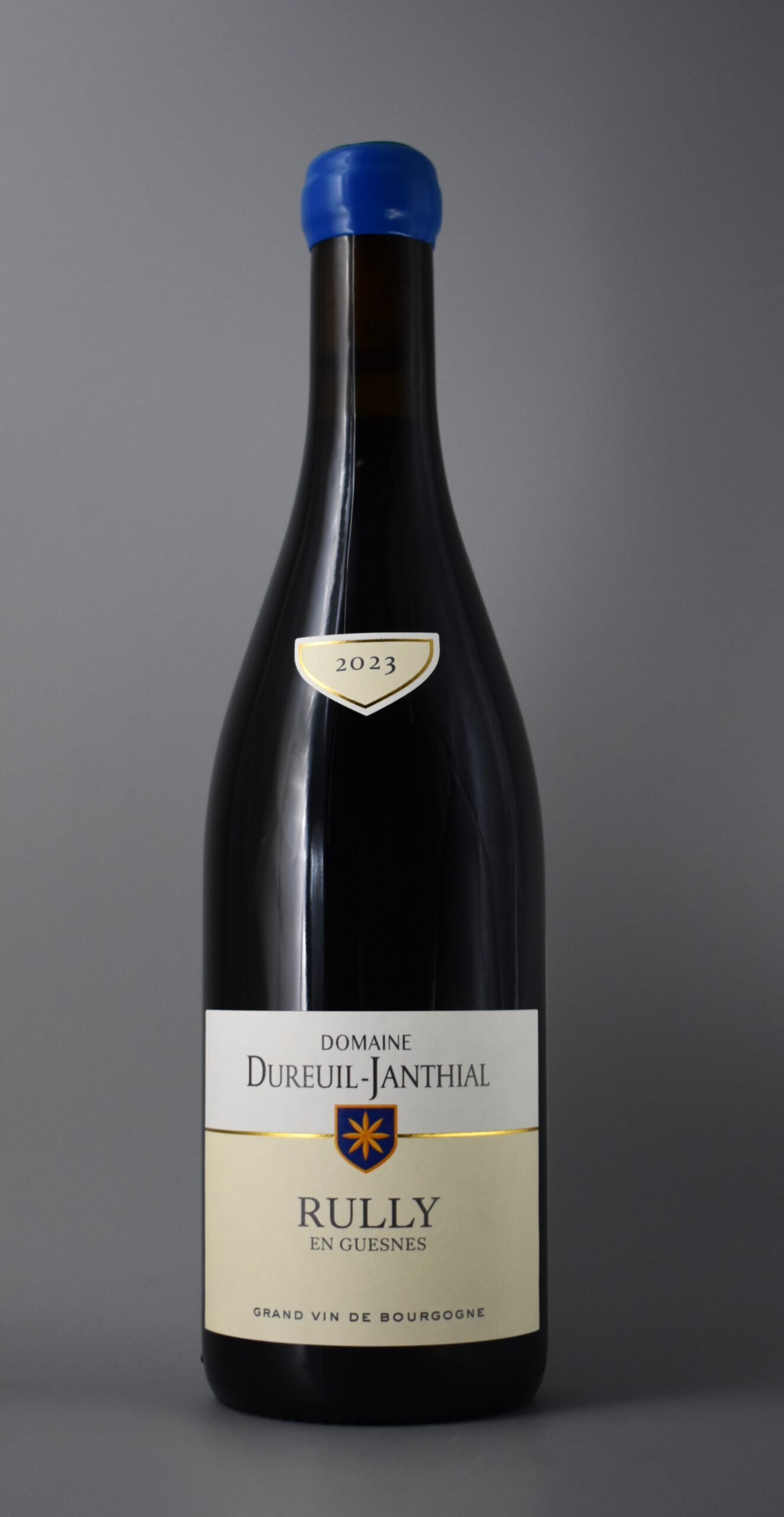 2023 Vincent Dureuil-Janthial Rully En Guesnes