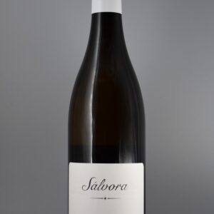 2024 Rodrigo Méndez Albariño Sálvora