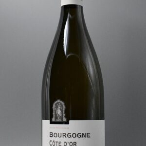 2024 Jean-Philippe Fichet Bourgogne Blanc Cote d'Or