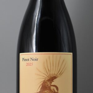 2025 Académie Pinot Noir Ostia Tempore