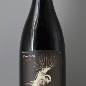 2025 Académie Pinot Noir Ostia Tempore Honoris